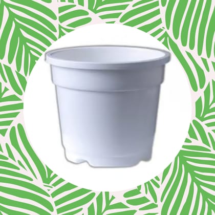 Free Gift - 4 Inch White Nursery Pot - Flash Sale
