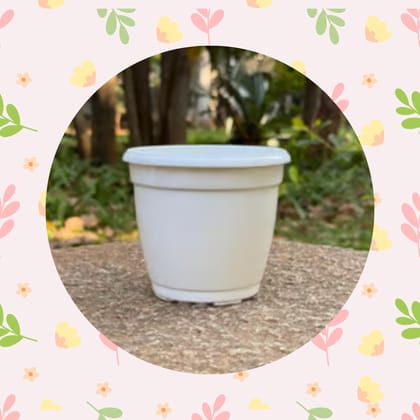 Free Gift - 5 Inch Cloudy White Elora Premium Plastic Planter - Flash Sale