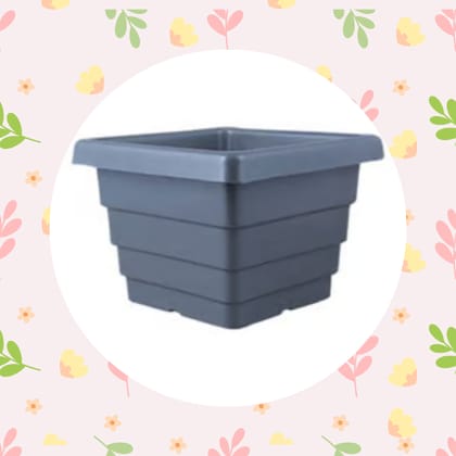 Free Gift - 4 Inch Grey Premium Orchid Square Plastic Pot - Flash Sale