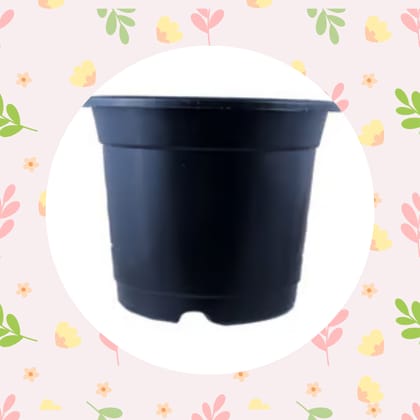 Free Gift - 4 Inch Black Nursery Pot - Flash Sale