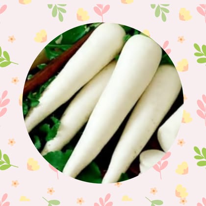 Free Gift - Radish White Seeds - Excellent Germination - Flash Sale