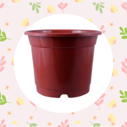 Free Gift - 4 Inch Red Nursery Pot - Flash Sale