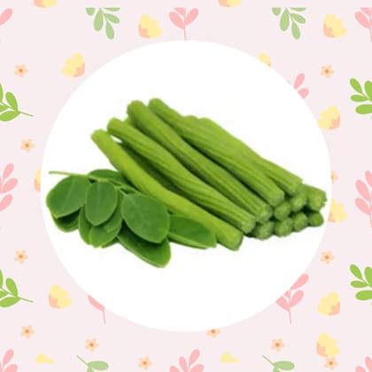 Free Gift - Moringa / Drumstick / Sahjan Seeds - Excellent Germination - Flash Sale