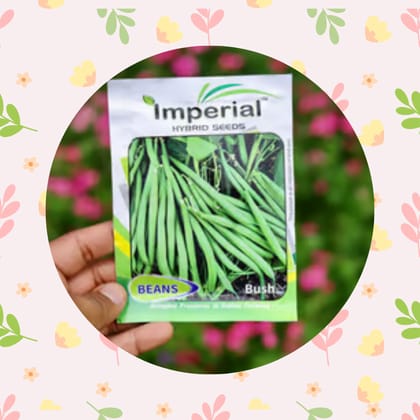 Free Gift - Beans seeds - Excellent Germination - Flash Sale
