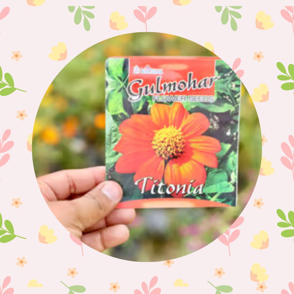 Free Gift - Tithonia Torch Red Flower Seeds - Excellent Germination - Flash Sale Free Gift - Tithonia Torch Red Flower Seeds - Excellent Germination - Flash Sale