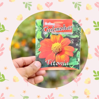 Free Gift - Tithonia Torch Red Flower Seeds - Excellent Germination - Flash Sale