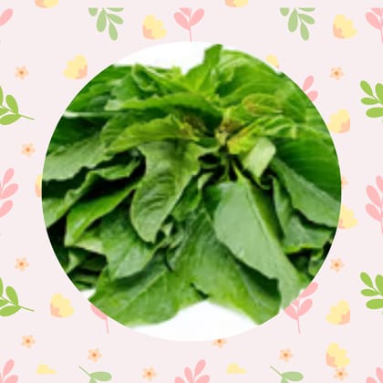 Free Gift - Amaranthus Green Vegatable Seeds - Excellent Germinations - Flash Sale