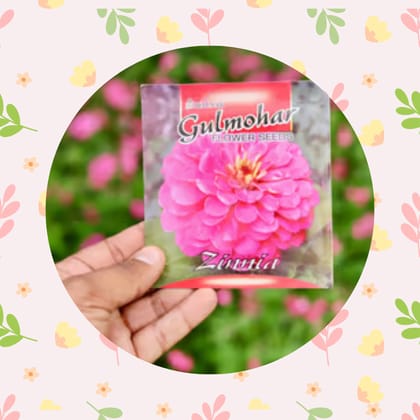 Free Gift - Zinnia Pink Seeds - Excellent Germination - Flash Sale