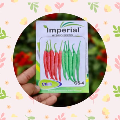 Free Gift - Chilli / Mirchi Jawala Seeds - Excellent Germination - Flash Sale