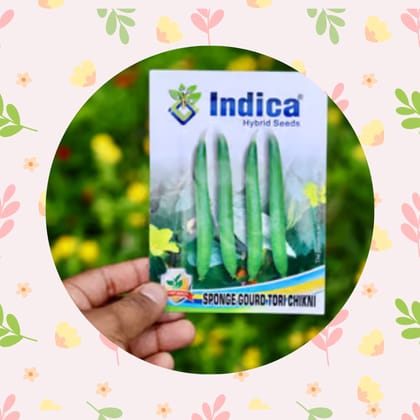 Free Gift - Sponge Gourd / Tori Seeds - Excellent Germination - Flash Sale