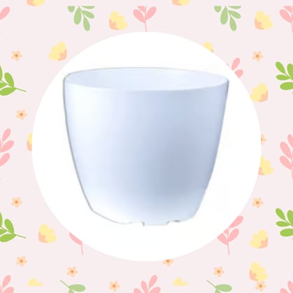 Free Gift - 4 Inch White Premium Orchid Round Plastic Pot - Flash Sale