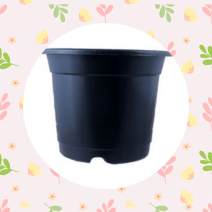 Free Gift - 4 Inch Black Nursery Pot - Flash Sale
