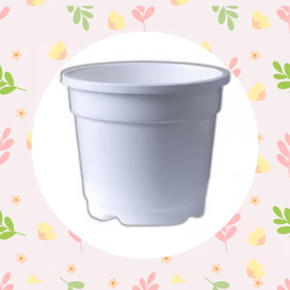 Free Gift - 4 Inch white Nursery Pot - Flash Sale