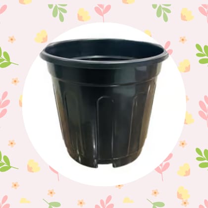 Free Gift - 6 Inch Black Super Nursery Pot - Flash Sale