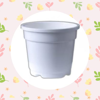 Free Gift - 4 Inch White Nursery Pot - Flash Sale