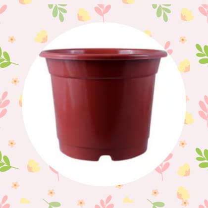 Free Gift - 4 Inch Red Nursery Pot - Flash Sale