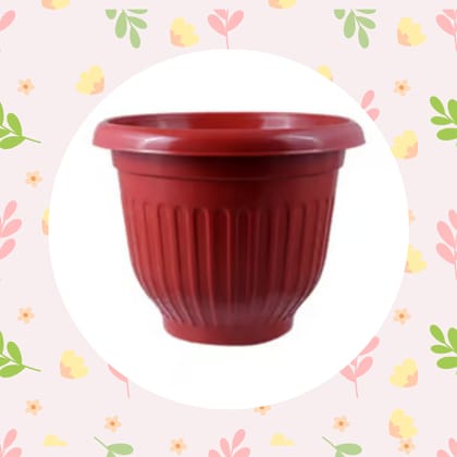 Free Gift - 8 Inch Terracotta Red Olive Plastic Pot - Flash Sale