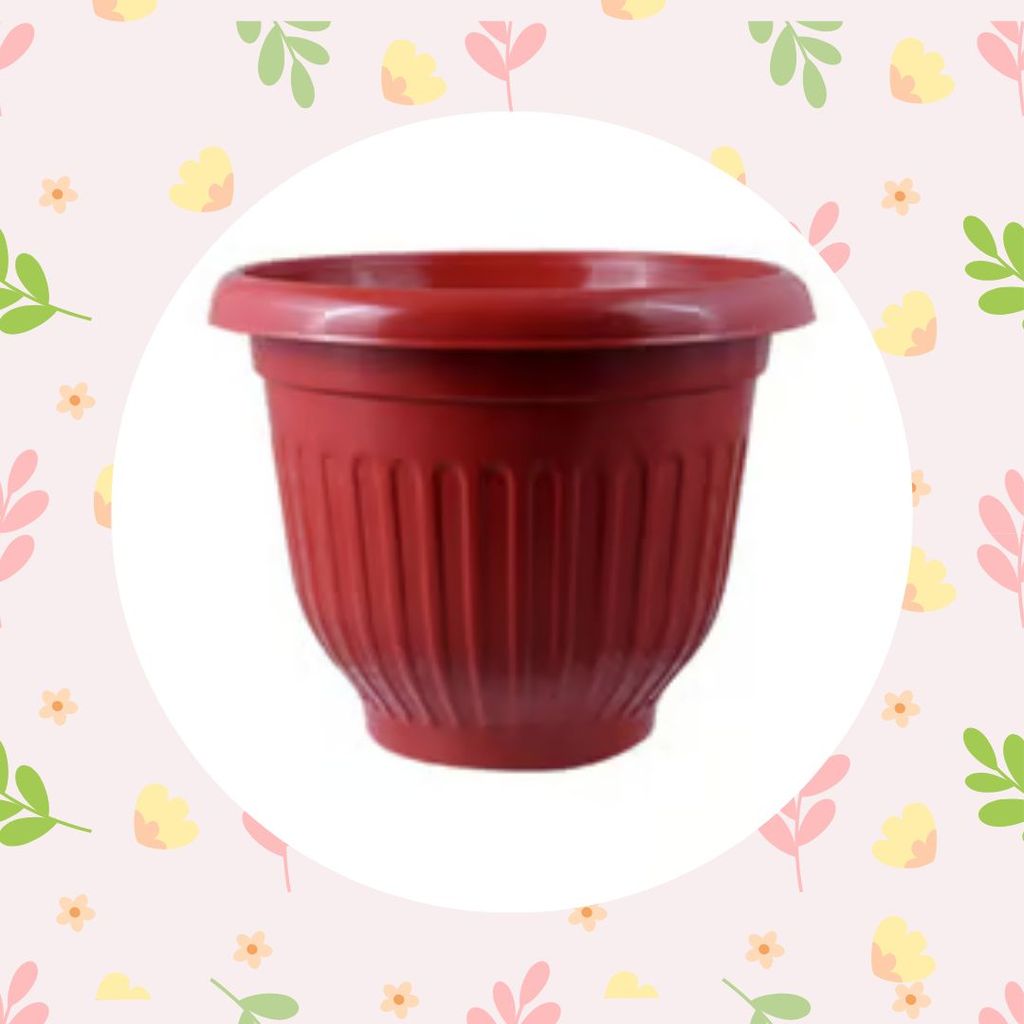 Free Gift - 8 Inch Terracotta Red Olive Plastic Pot - Flash Sale Free Gift - 8 Inch Terracotta Red Olive Plastic Pot - Flash Sale