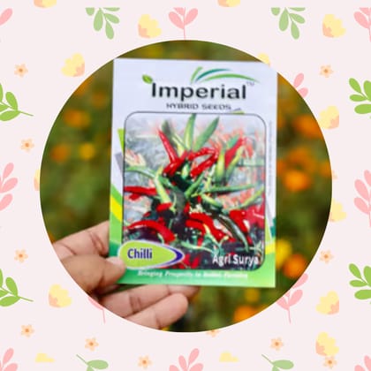 Free Gift - Chilli / Mirchi Surya Seeds - Excellent Germination - Flash Sale
