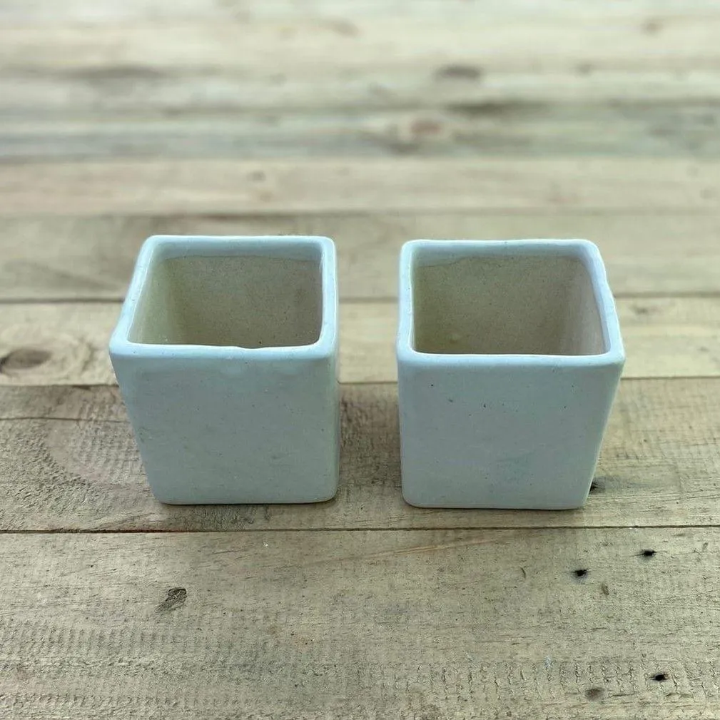 Set of 2 - 4 X 5 Inch White Classy Square Ceramic Pot