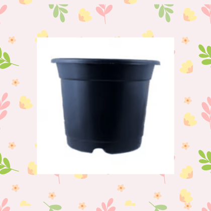 Free Gift - 4 Inch Black Nursery Pot - Flash Sale