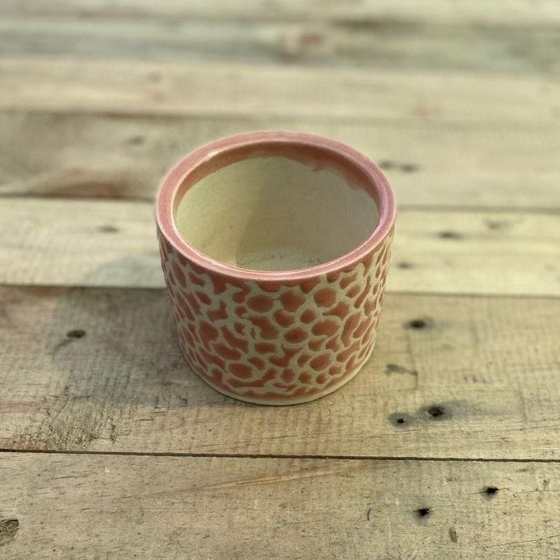 4 Inch Designer Glass Ceramic Pot (any colour)