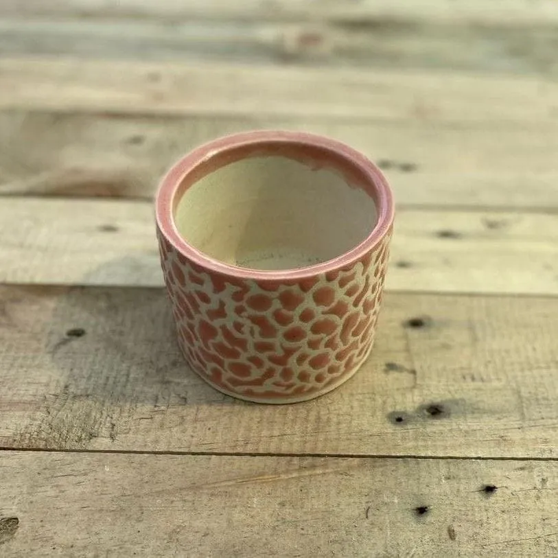 4 Inch Designer Glass Ceramic Pot (any colour)