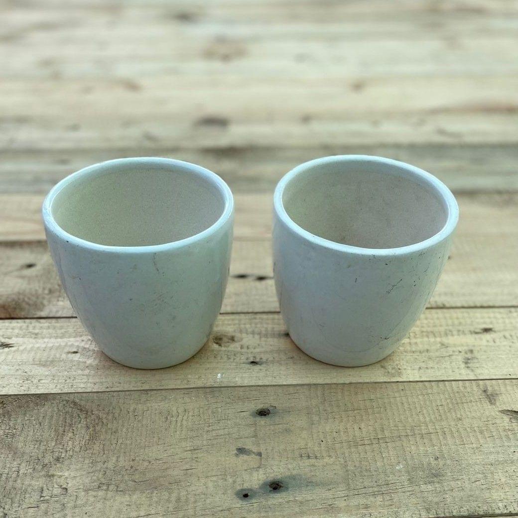 Set of 2 - 3 x 4 Inch White Elegant Cup Ceramic Pot