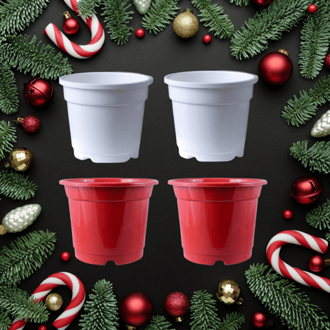 Set of 04 -  4 Inch Red & White Nursery Pots (2-2 Each)