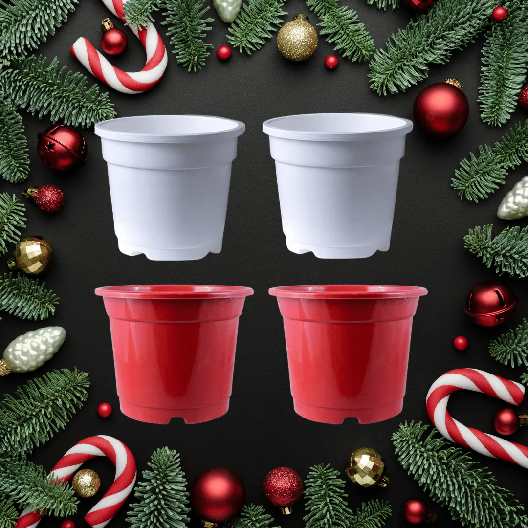 Set of 04 - 4 Inch Red & White Nursery Pots (2-2 Each)