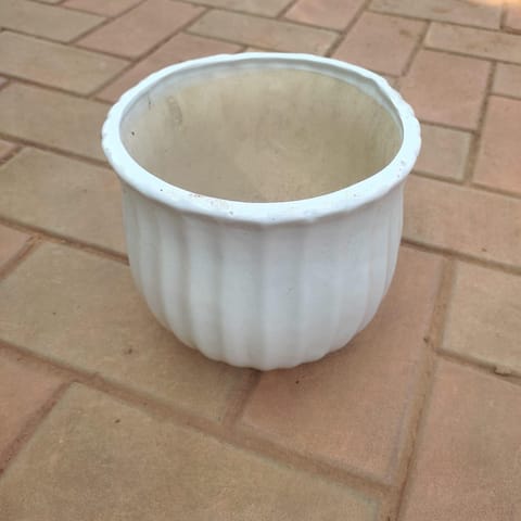 8 Inch Handi Collar Designer Ceramic Pot (any colour)