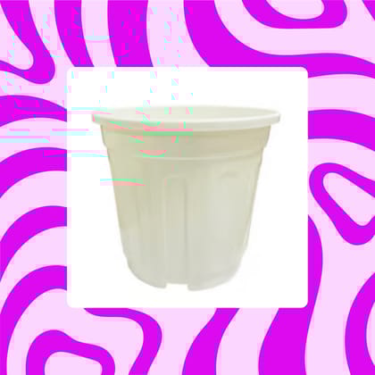Free Gift - 6 Inch White Super Nursery Pot - Flash Sale