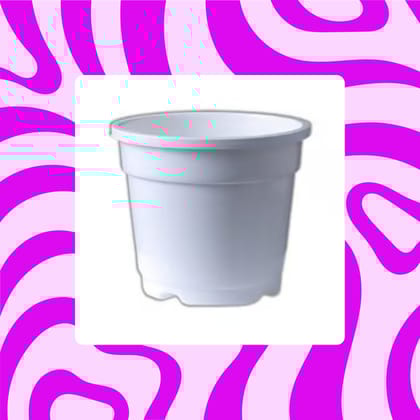 Free Gift - 4 Inch White Nursery Pot - Flash Sale