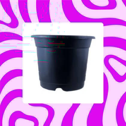 Free Gift - 4 Inch Black Nursery Pot - Flash Sale