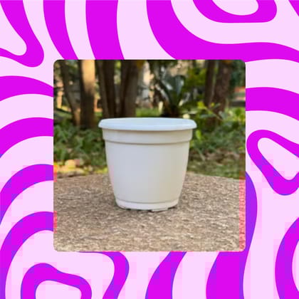 Free Gift - 3 Inch Cloudy White Elora Premium Plastic Planter - Flash Sale