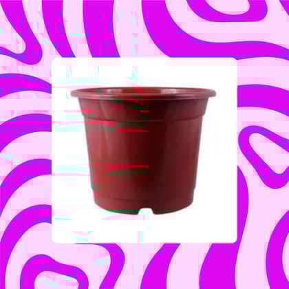 Free Gift - 4 Inch Red Nursery Pot - Flash Sale