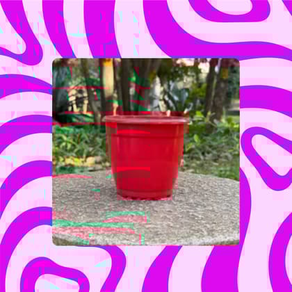 Free Gift - 3 Inch Ruby Red Elora Premium Plastic Planter - Flash Sale