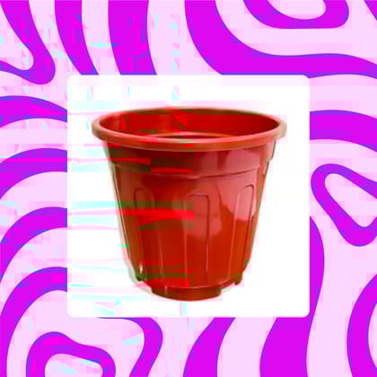 Free Gift - 6 Inch Red Super Nursery Pot - Flash Sale