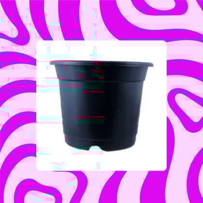 Free Gift - 8 Inch Black Nursery Pot - Flash Sale