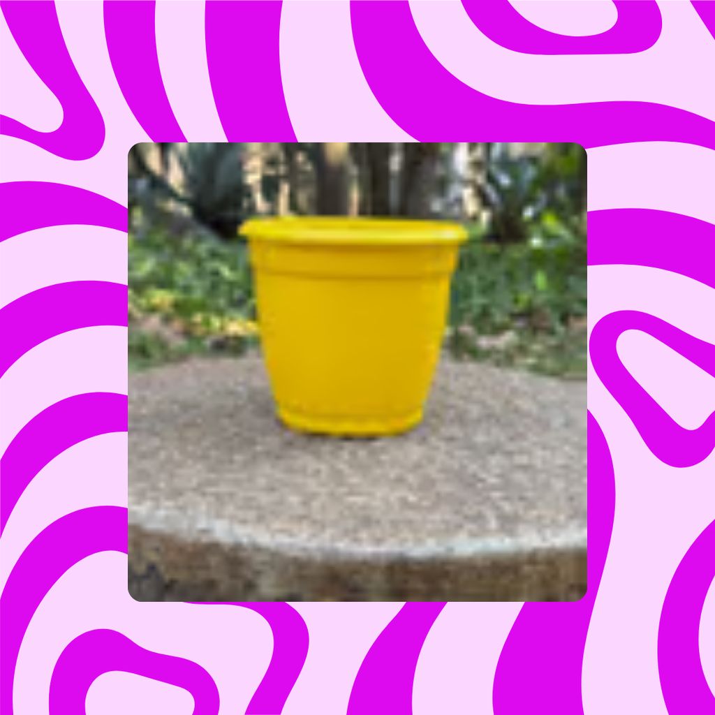 Free Gift - 3 Inch Sunshine Yellow Elora Premium Plastic Planter - Flash Sale Free Gift - 3 Inch Sunshine Yellow Elora Premium Plastic Planter - Flash Sale