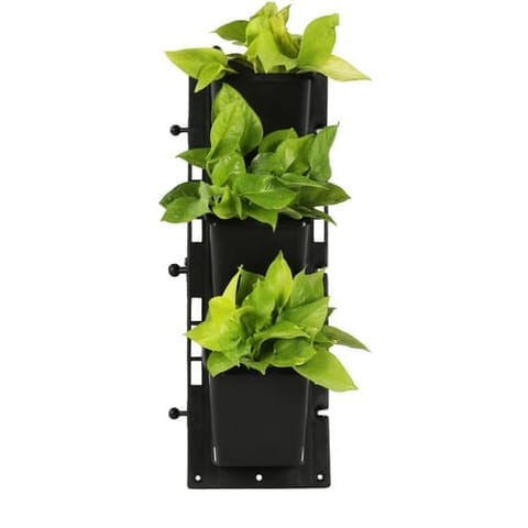 18 x 6 Inch Vertical Hanging Plastic Panel - Space-saving wall planter