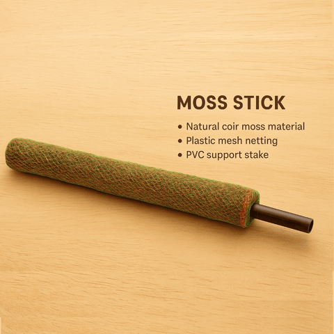 Moss Stick - 3 Ft - Strong support for climbing plants