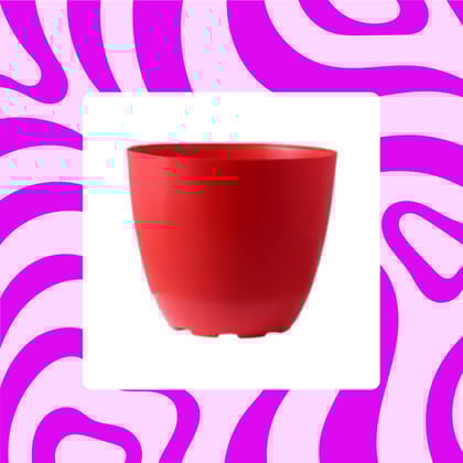 Free Gift - 4 Inch Red Premium Orchid Round Plastic Pot - Flash Sale