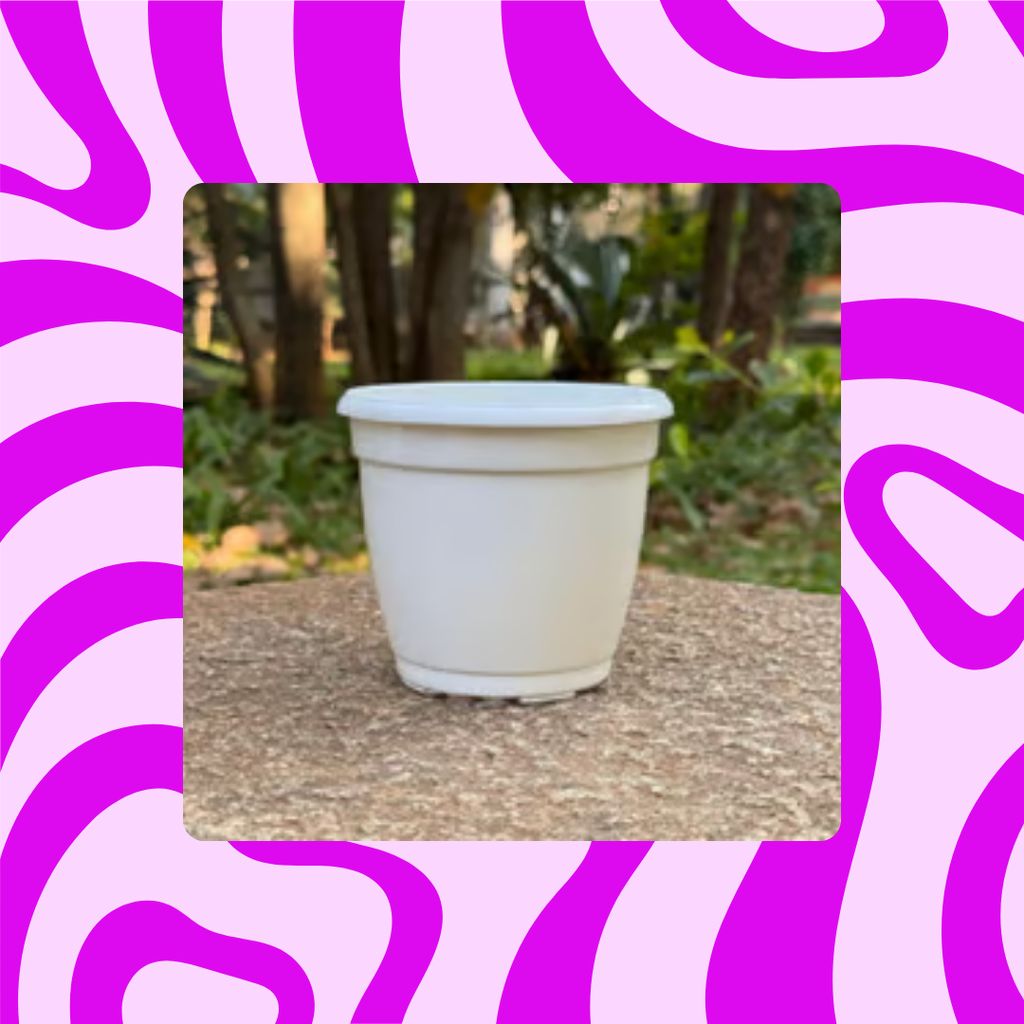 Free Gift - 4 Inch Cloudy White Elora Premium Plastic Planter - Flash Sale Free Gift - 4 Inch Cloudy White Elora Premium Plastic Planter - Flash Sale
