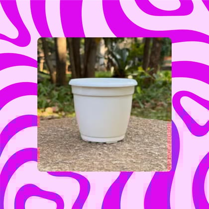 Free Gift - 4 Inch Cloudy White Elora Premium Plastic Planter - Flash Sale