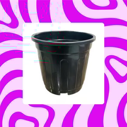 Free Gift - 6 Inch Black Super Nursery Pot - Flash Sale
