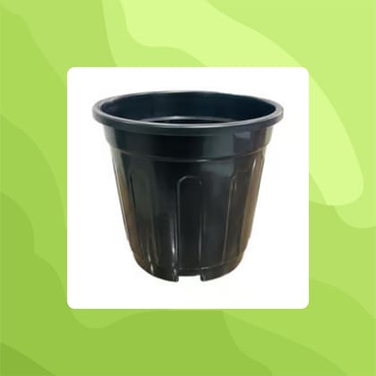 Free Gift - 6 Inch Black Super Nursery Pot - Flash Sale