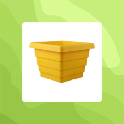 Free Gift - 4 Inch Yellow Premium Orchid Square Plastic Pot - Flash Sale
