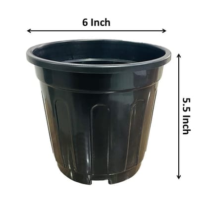 Buy 6 Inch Black Super Nursery Pot Online | Urvann.com