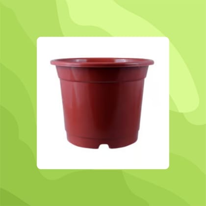 Free Gift - 8 Inch Red Nursery Pot - Flash Sale